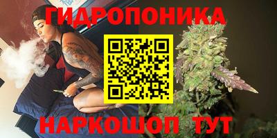 спиды Заводоуковск