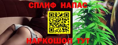 спиды Заводоуковск