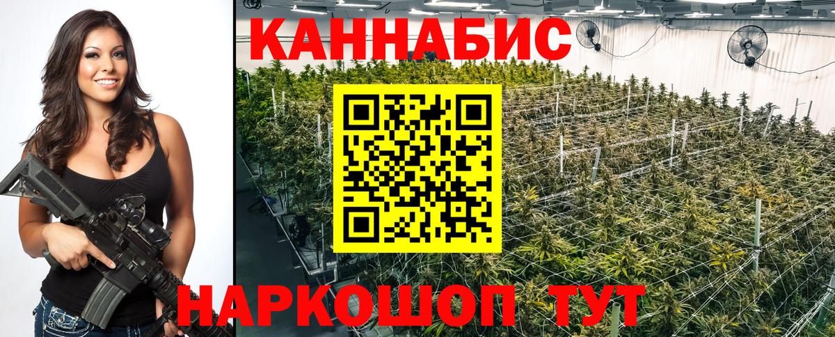 Шишки марихуана марихуана  Вход с VPN  Люберцы  Конопля планчик  Шишки марихуана LSD WEED 
